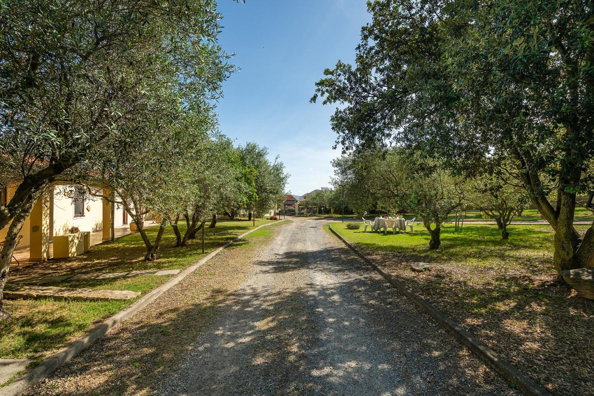 Residenza Parco Degli Ulivi Villa Villamassargia Exterior foto